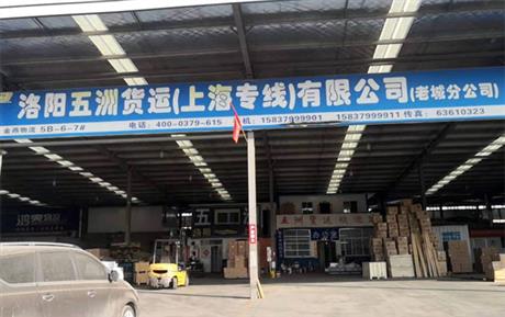 实力展示